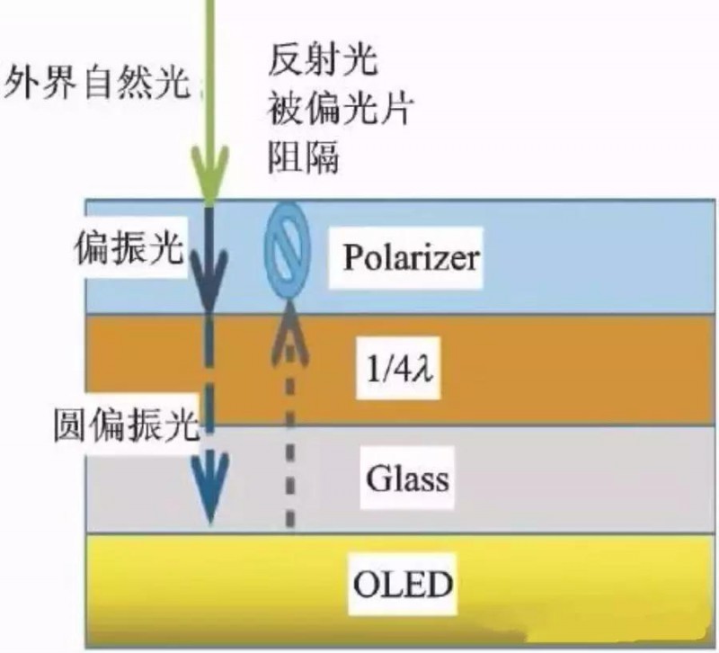 OLED用偏光片發展歷程、功能、效用、市場預測