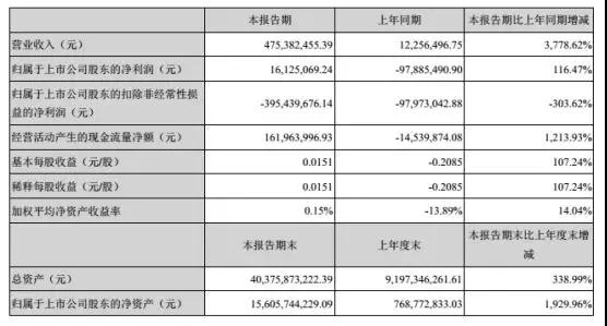 維信諾2018年上半年業績報表