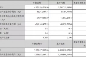 同興達上半年業績亮眼，扣非凈利潤同比大增1135%