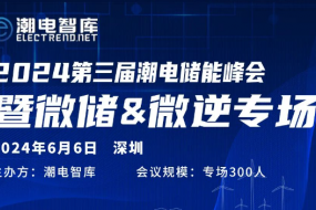 2024年全球微儲&微逆趨勢峰會第三屆潮電儲能論壇